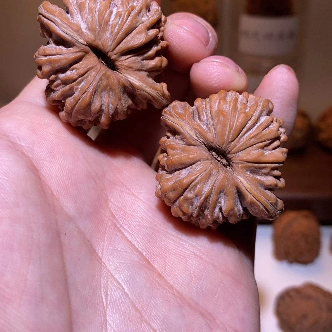 40尺 全品白茬 四座楼