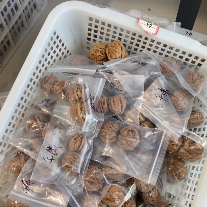 吊坠文玩核桃千佛山瑕疵