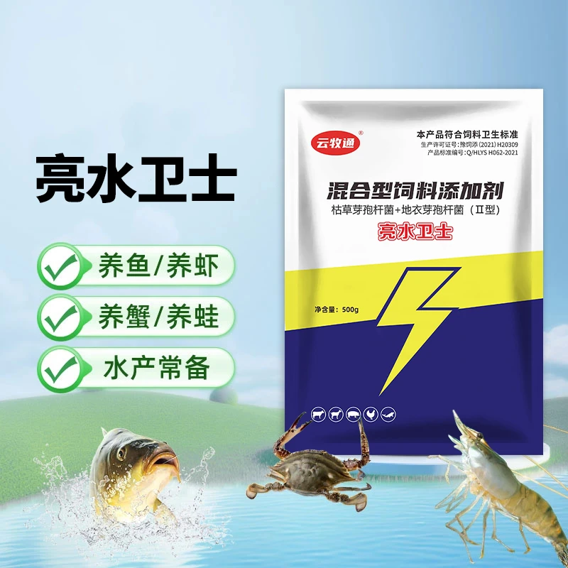 枯草芽孢杆菌水产养殖专用调水净水复合芽孢杆菌地衣芽孢杆菌