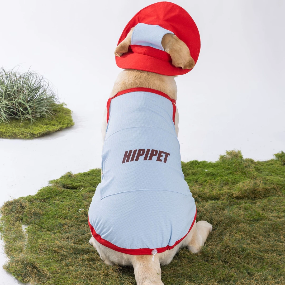 夏季狗狗中大型犬降温凉凉衣带帽套装金毛萨摩大狗