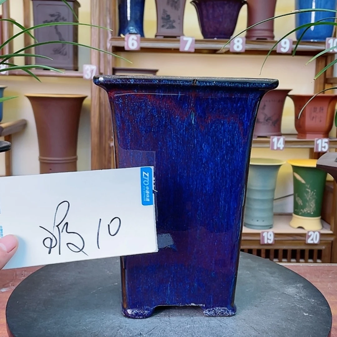 【闪购商品】紫砂花盆见**开兰花455885557535555225