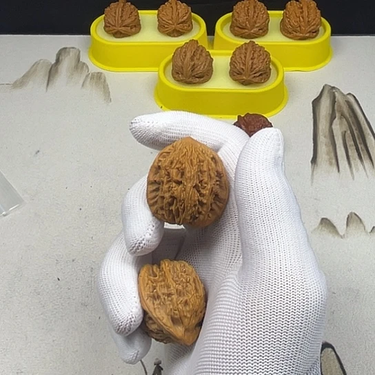 把件文玩核桃核桃等经济作物的栽培