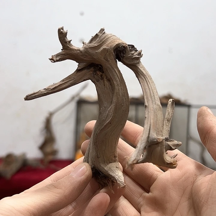 柏木?*東我们的生活是以