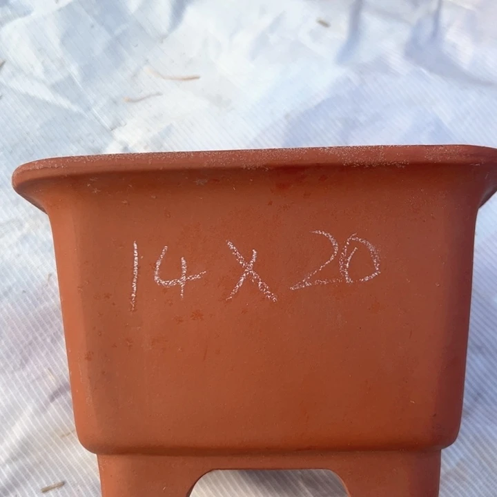 红陶紫砂四方无暇