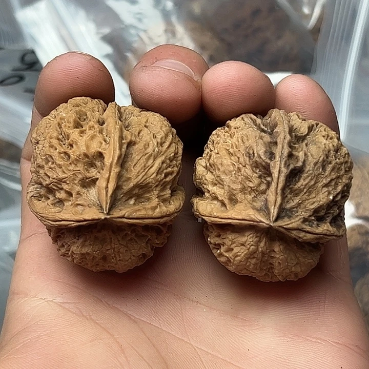 核桃44号大三楞40尺