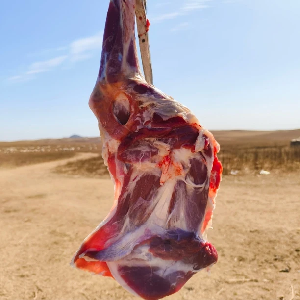 羔羊前腿内蒙古四子王旗草地溜达羊 前腿整腿 称斤顺丰包邮