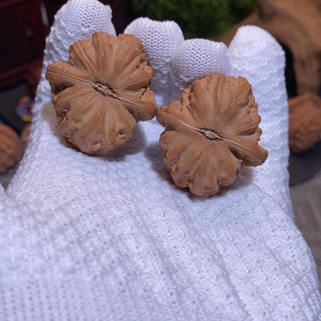 36尺 全品无修白茬 球白