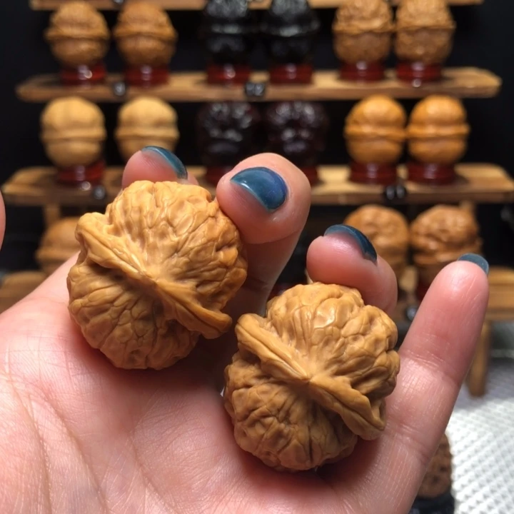 【闪购商品】石斑虎36号