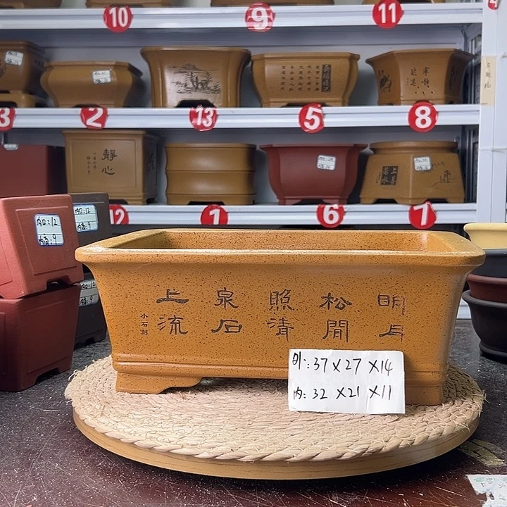 紫砂花盆蛇年大吉