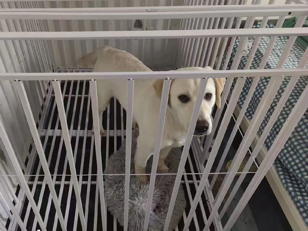 加粗加固宠物狗围栏带厕所适合中大型犬室内专用