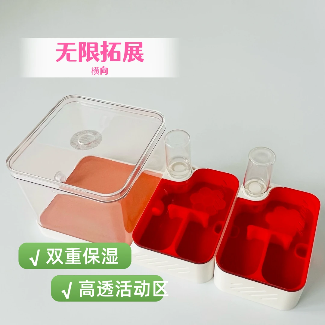 猛蚁饲养神器 3D可拓展蚁巢 高透全景活动区+巨量保湿仓 蚁宠优选