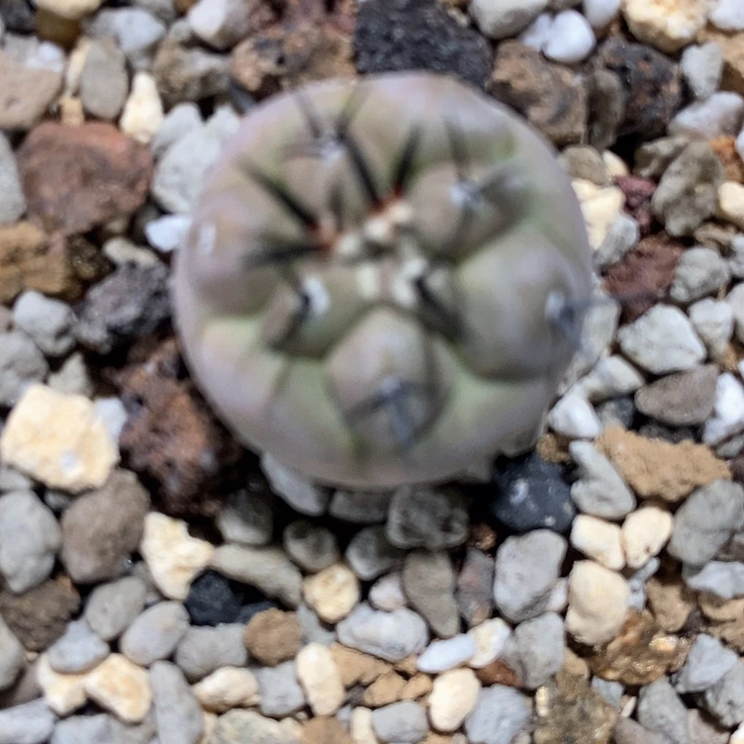 路***3哈哈哈哈哈哈哈哈哈哈哈