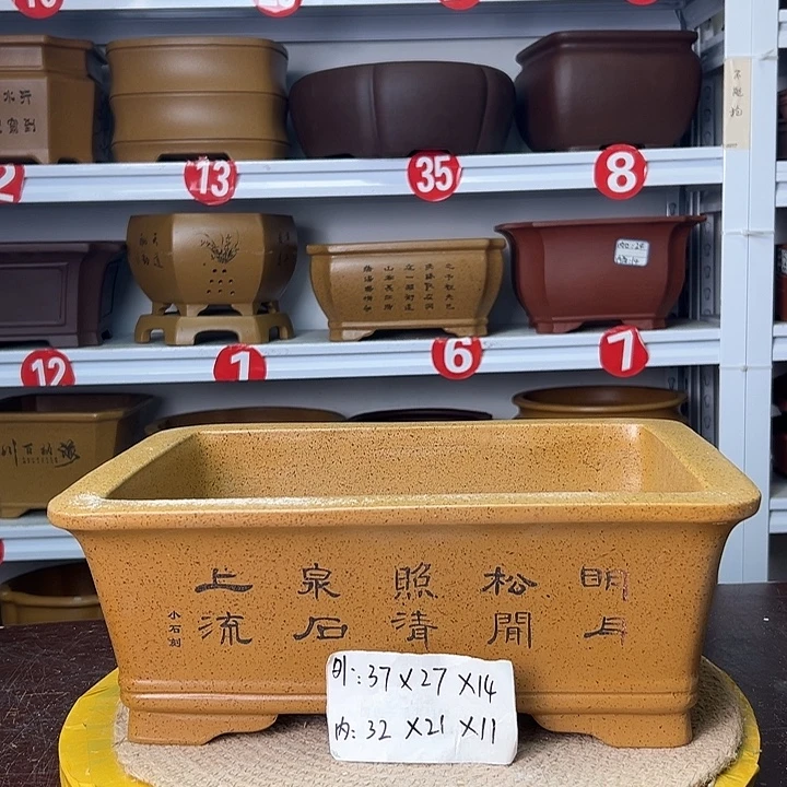 花盆紫砂蛇年大吉