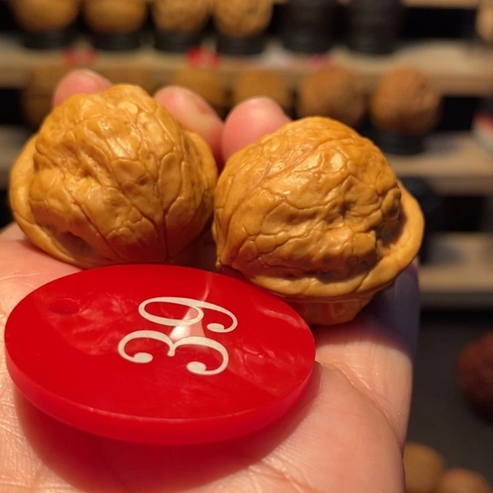 木质类铁鹦鹉30尺寸