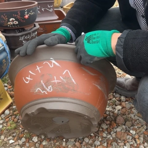 紫砂花盆紫砂花盆盆景盆栽