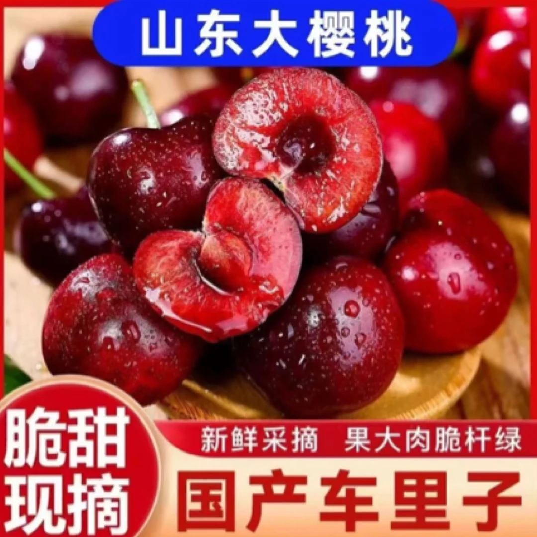 Z正宗山东美早樱桃现摘脆甜多汁新鲜包邮坏果包赔