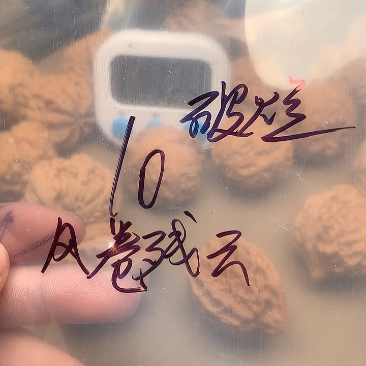 风**云文玩儿核桃破烂
