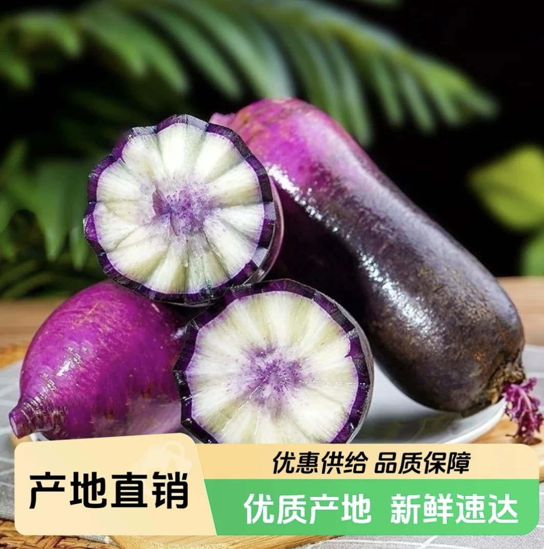 正宗天津沙窝新鲜现拔脆甜多汁冰激凌水果萝卜