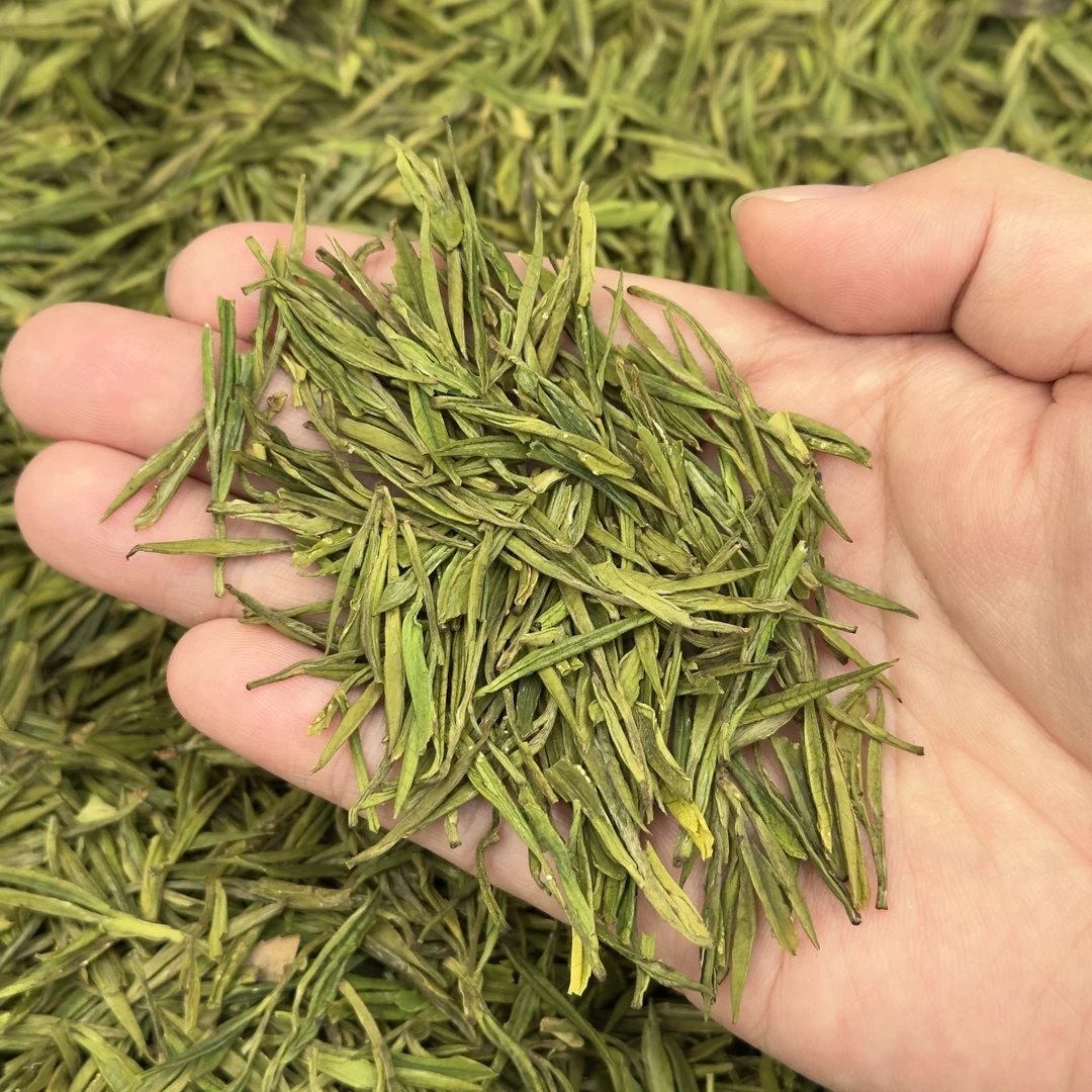 2025明前高山白茶兰花香鲜爽【五木B97】