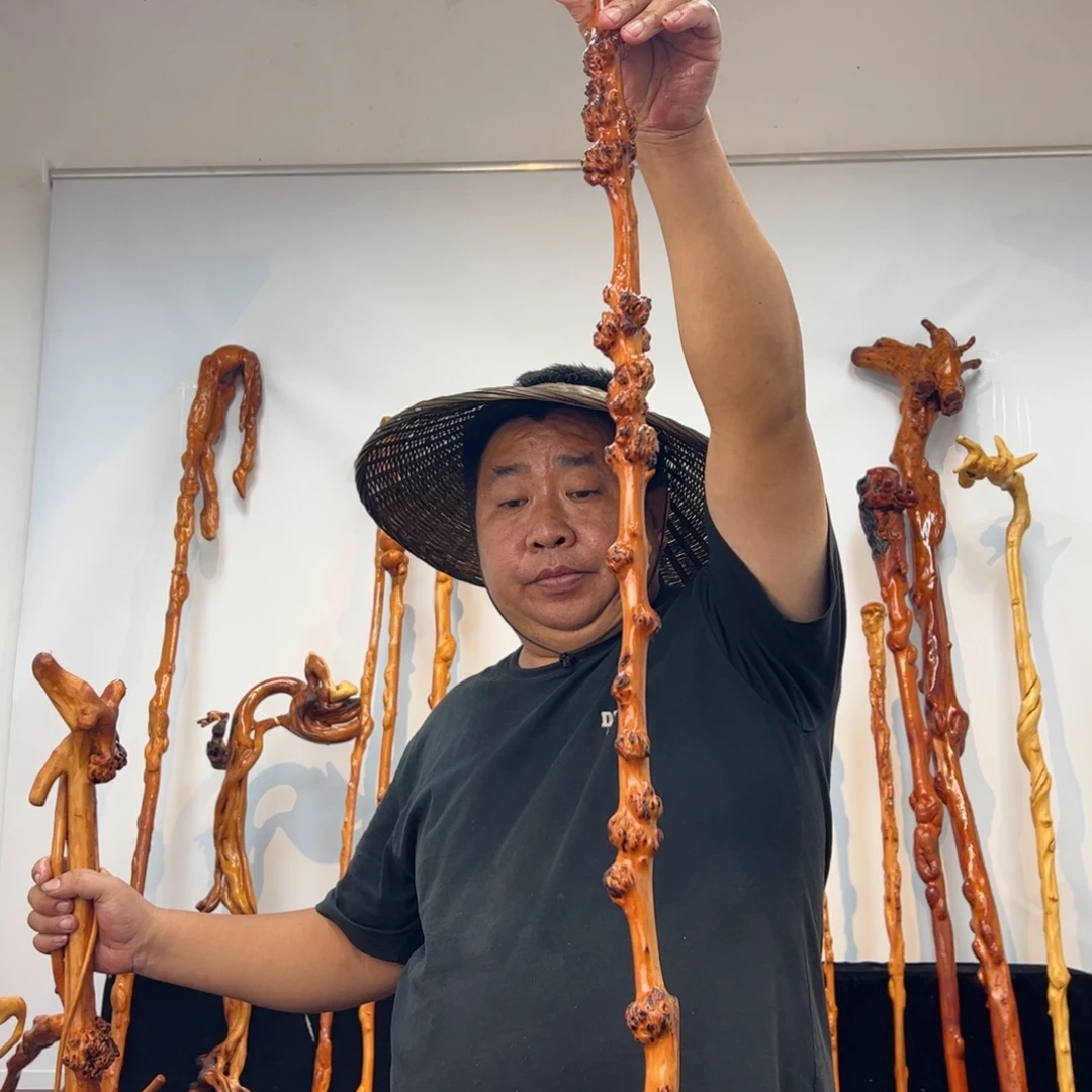 东***饰黑果木其他黑果木411