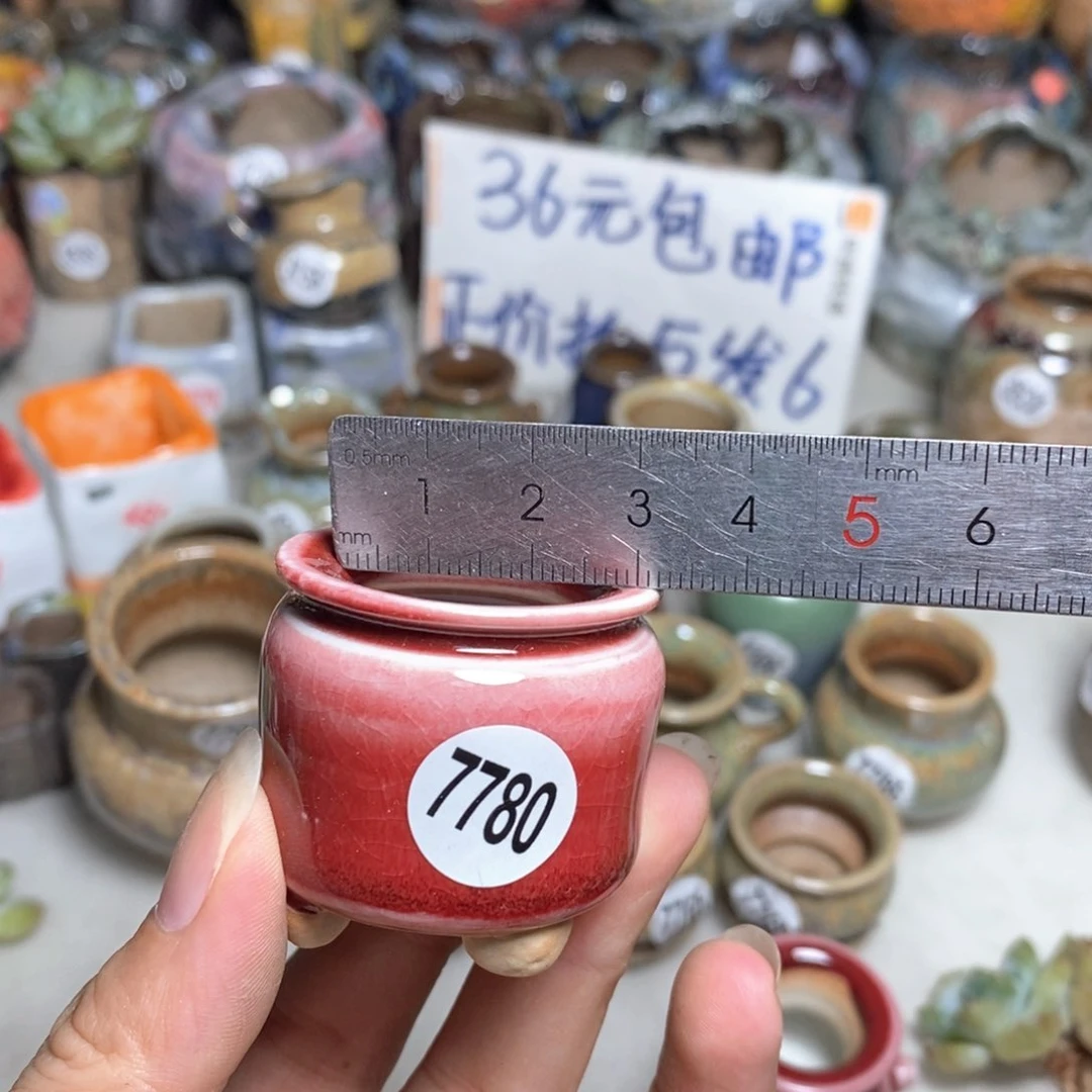 拍5送一个小礼物