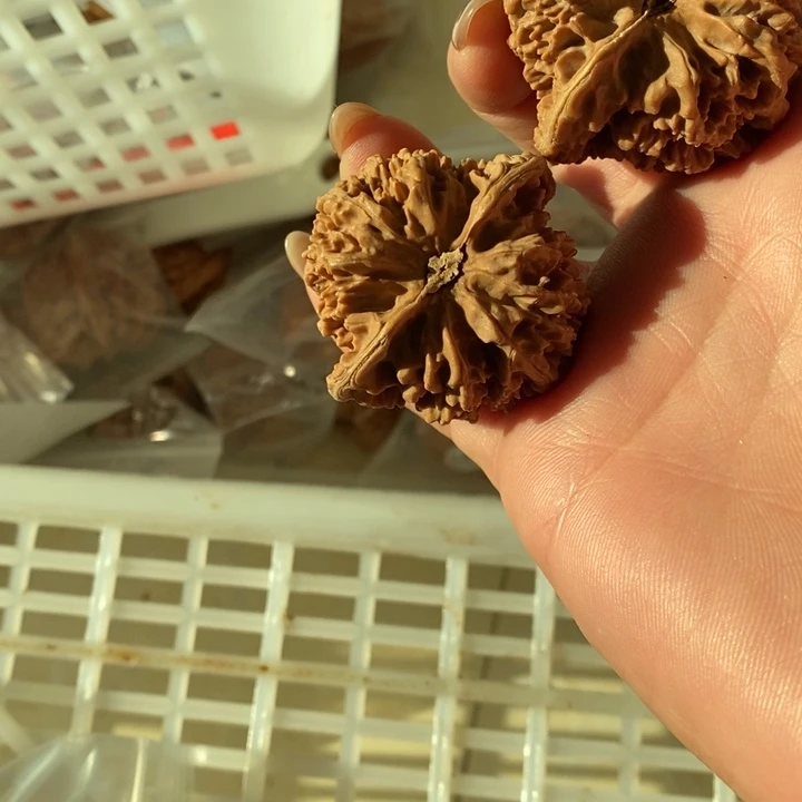 破**堂满天星满天星满天星