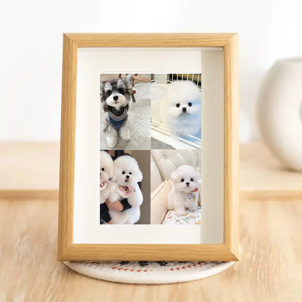 宠物相册【定金】，雪纳瑞，博美，比熊，宠物相册