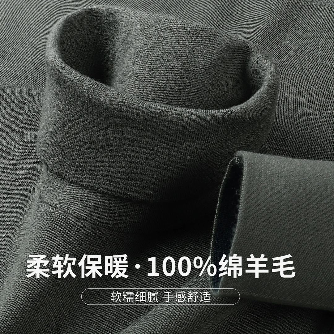 FIRS/杉杉【100%绵羊毛】柔软保暖高领羊毛衫舒适休闲温暖羊毛衫