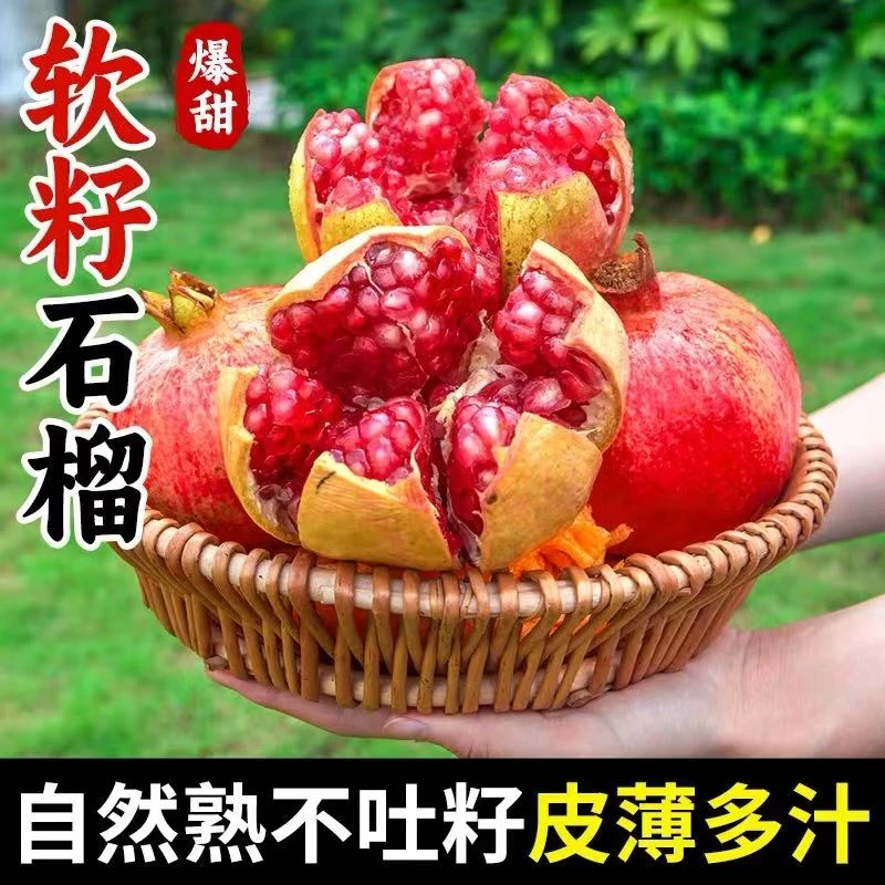 四川会理软籽石榴新鲜当季水果鲜甜多汁无籽饱满