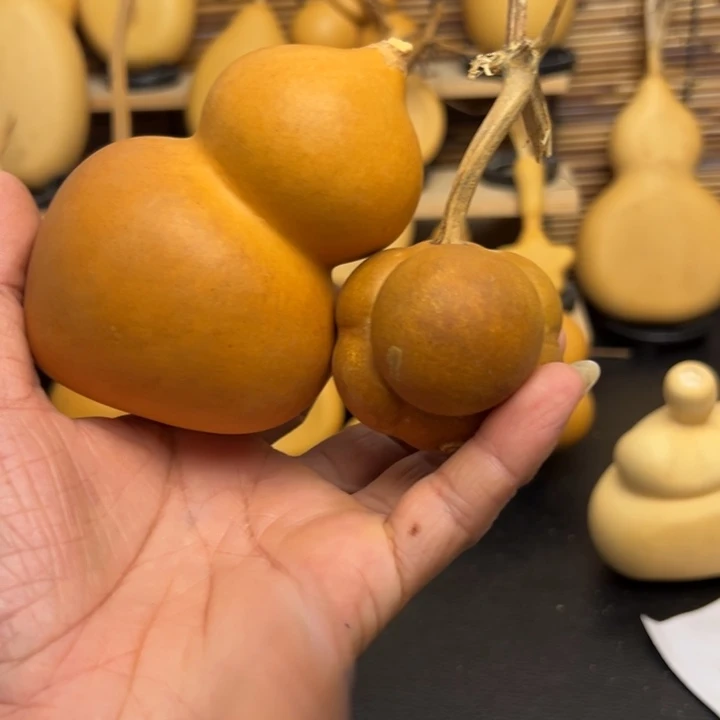云*56669999999999999