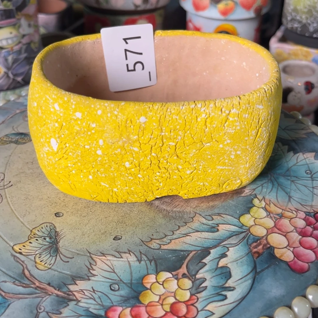 ****571多肉花盆    1个