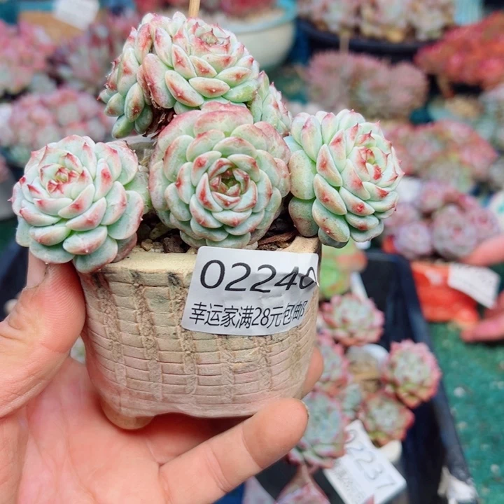 幸运的是我还没遇到