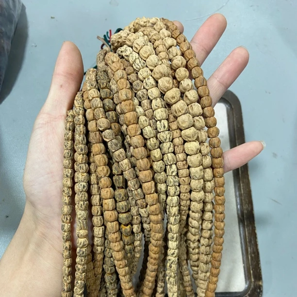 B168脏鬼柏香籽长串（桩型 尺寸 多样性发其一）