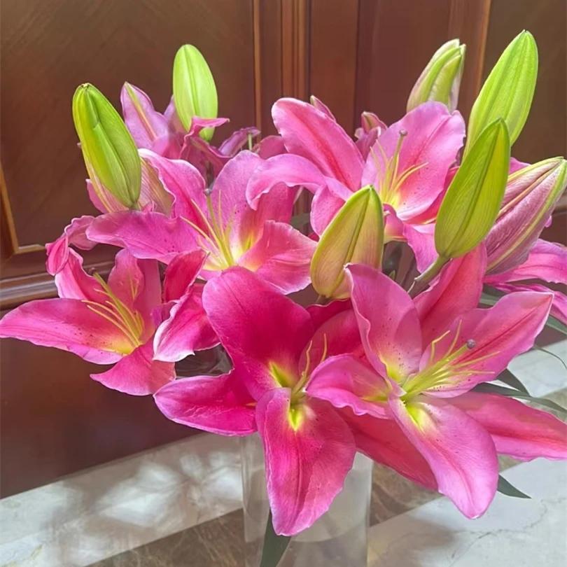 特红百合【单头红色系百合】【零度以下不拍保温棉不售后】