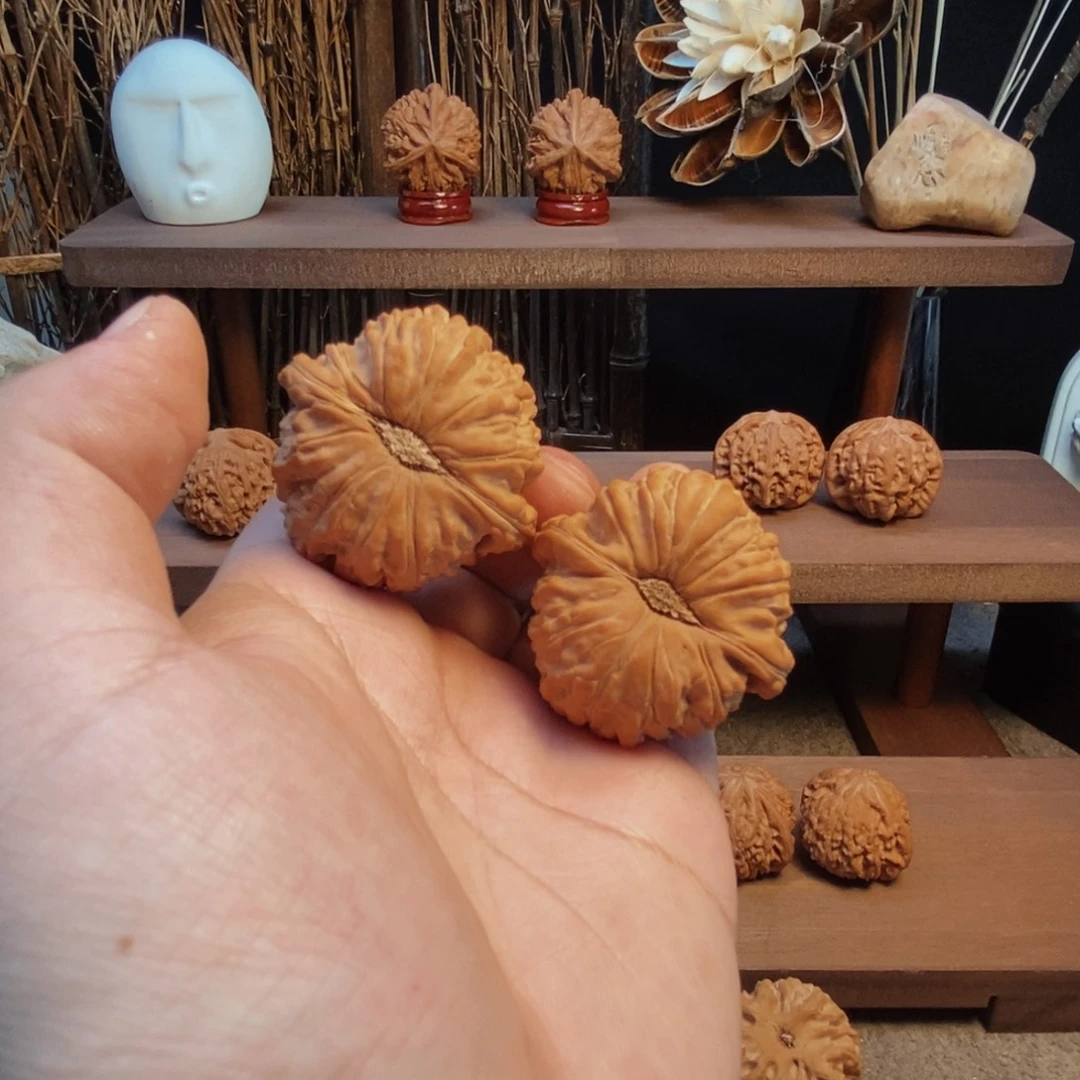 Z***W核桃手串/手链44全品卡姿兰白狮子