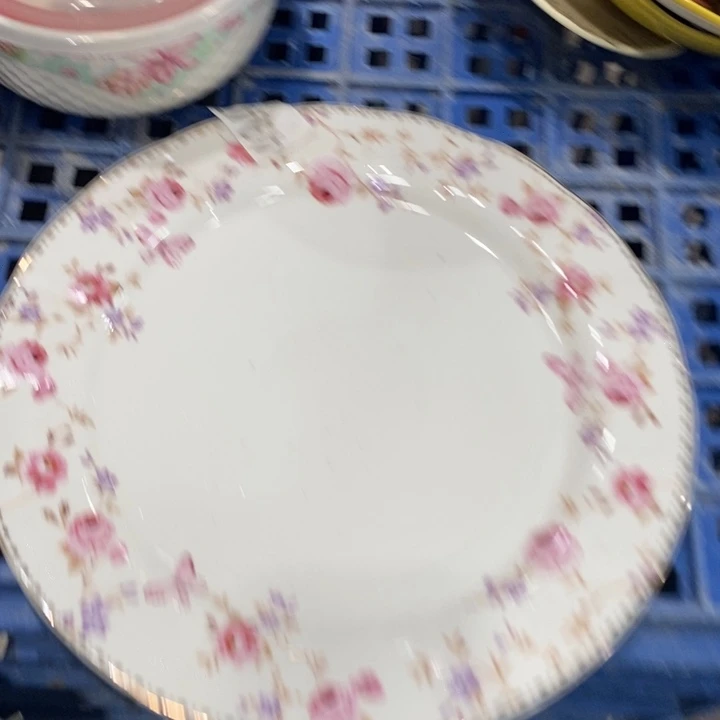 陶瓷微瑕2个11111111111111，10英寸