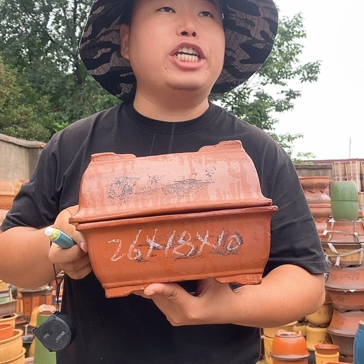 紫砂花盆盆栽观赏植物花卉