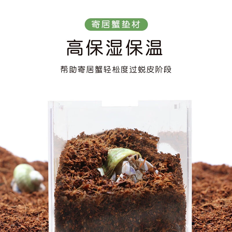 寄居蟹用土，大颗粒不沾身。爱马仕椰土