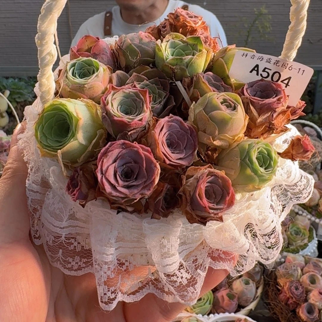 A504 蕾丝花篮玫瑰组合