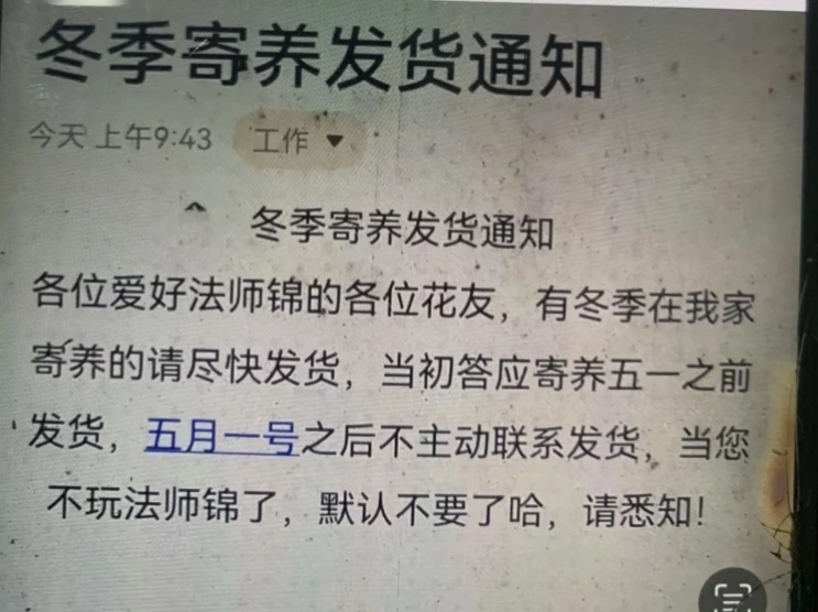 冬季多肉法师寄养须知，5月1号之前必须联系客服发货