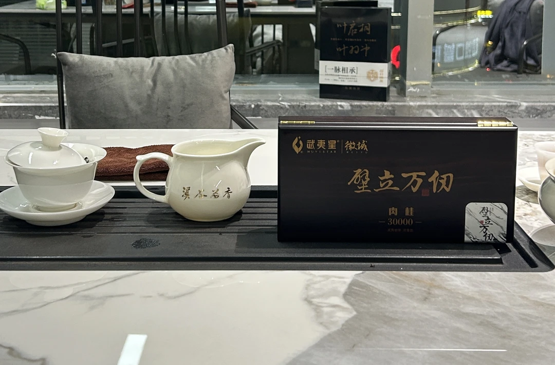 武夷星【壁立万仞】刮码一盒2泡