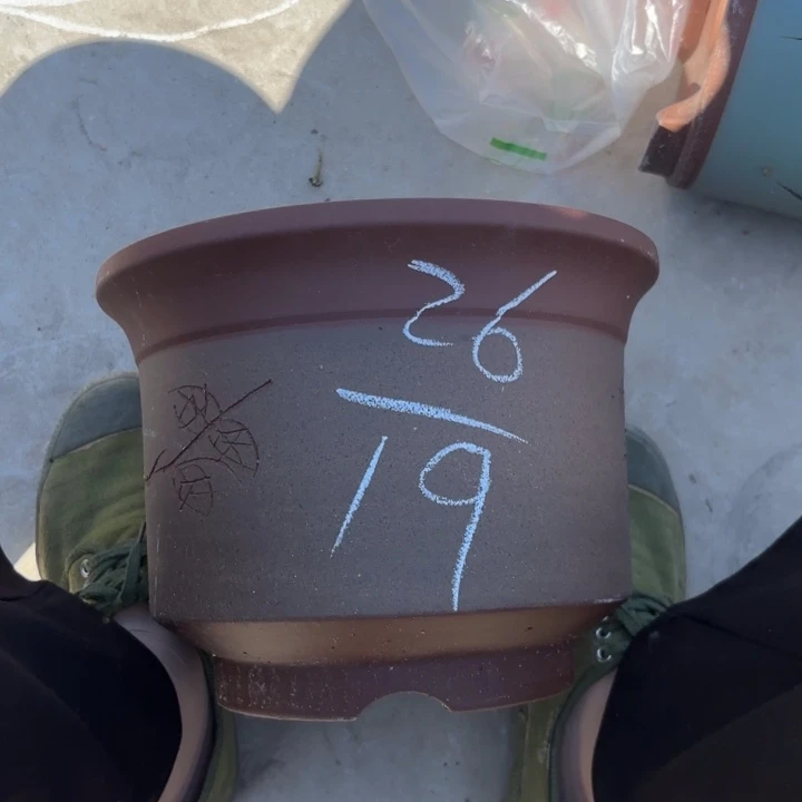 紫砂花盆紫砂的花