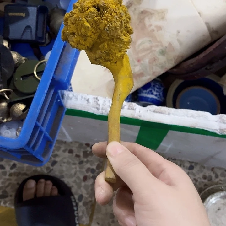 核桃木/黑胡桃（胡桃木）你****的