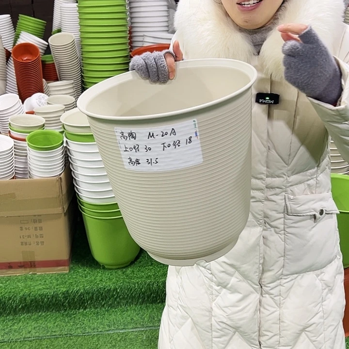 正品高陶口30高31白色无托3只