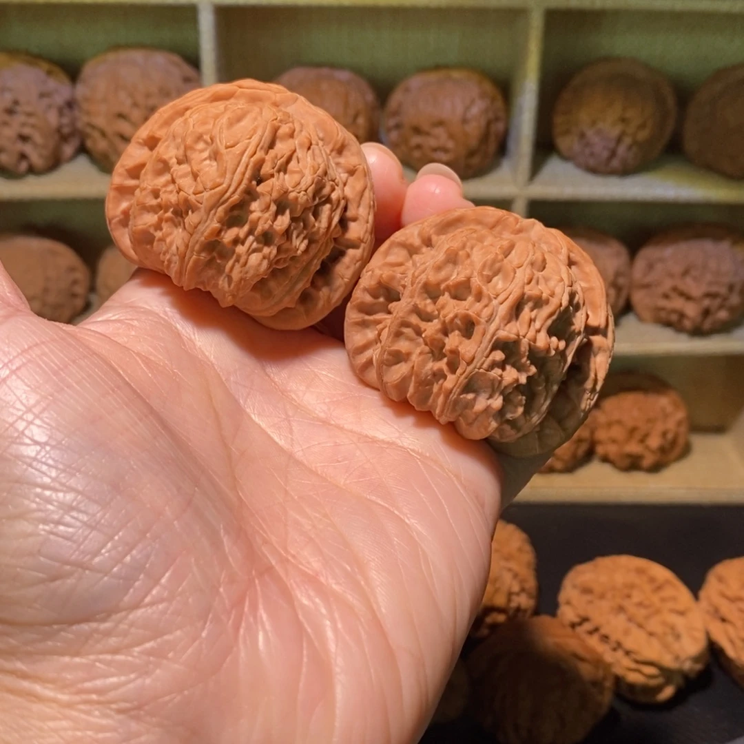 五***石把件文玩核桃白狮子