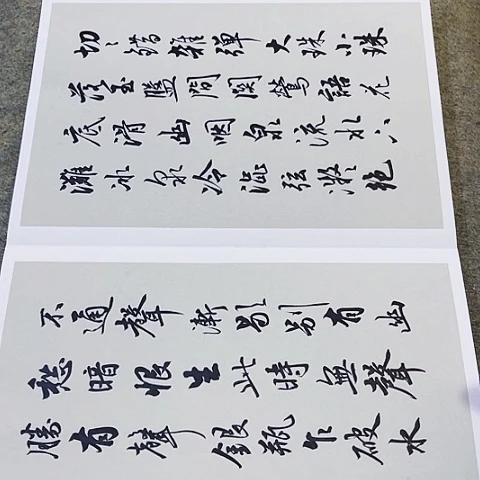 小****琵芭行行书册页作品