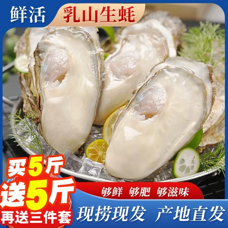 【买5斤送5斤】鲜活乳山生蚝海鲜原产地直发海蛎子包肥美精品级牡蛎