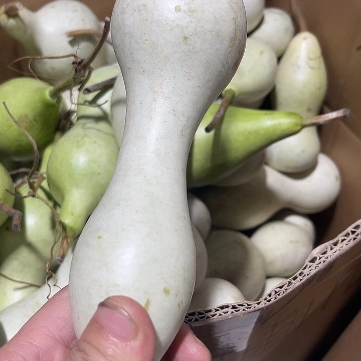 非洲紫檀（红花梨）独***人