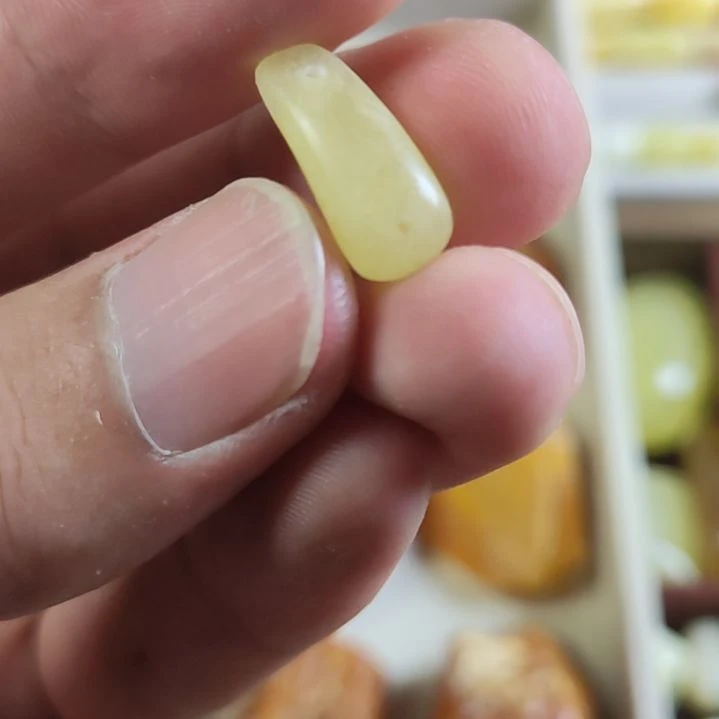 裸石琥珀未镶嵌卡子