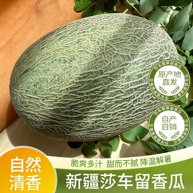 正宗特级新疆莎车留香瓜当季新鲜现摘整箱空运包邮